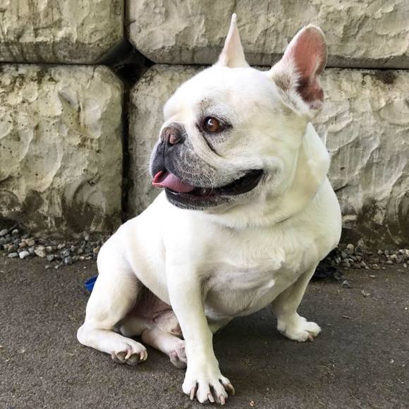 Meet your Posher, David - Picture 1 of 1